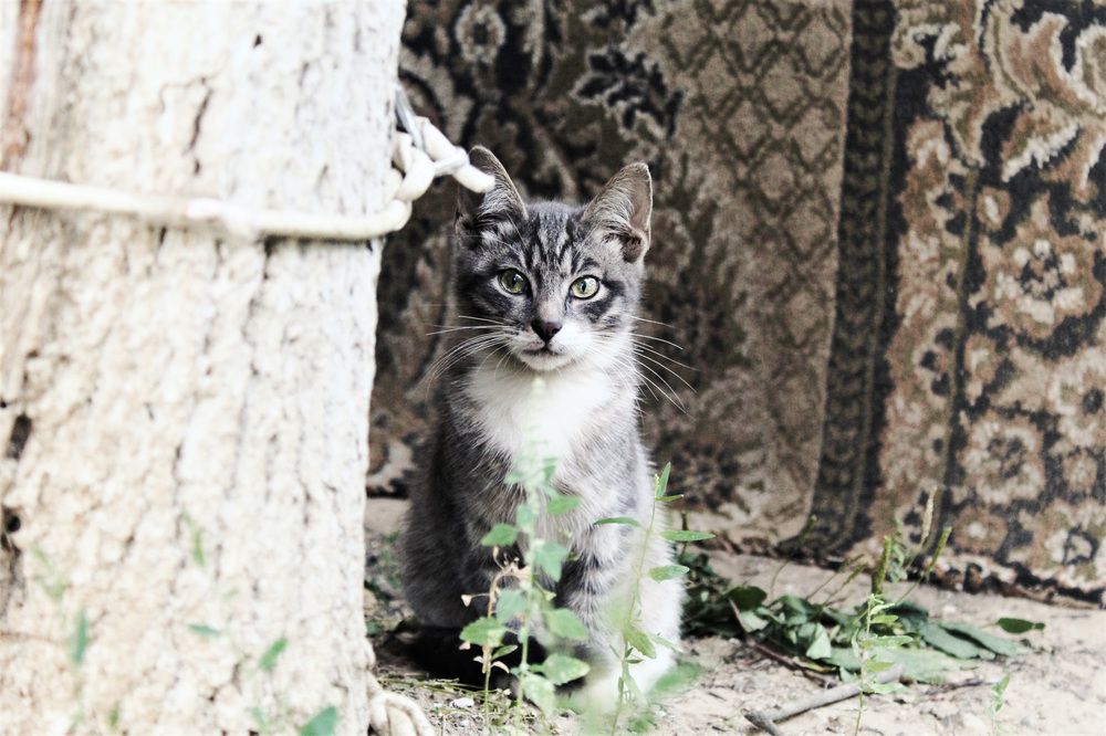 Photograph by Elena Zemskovich