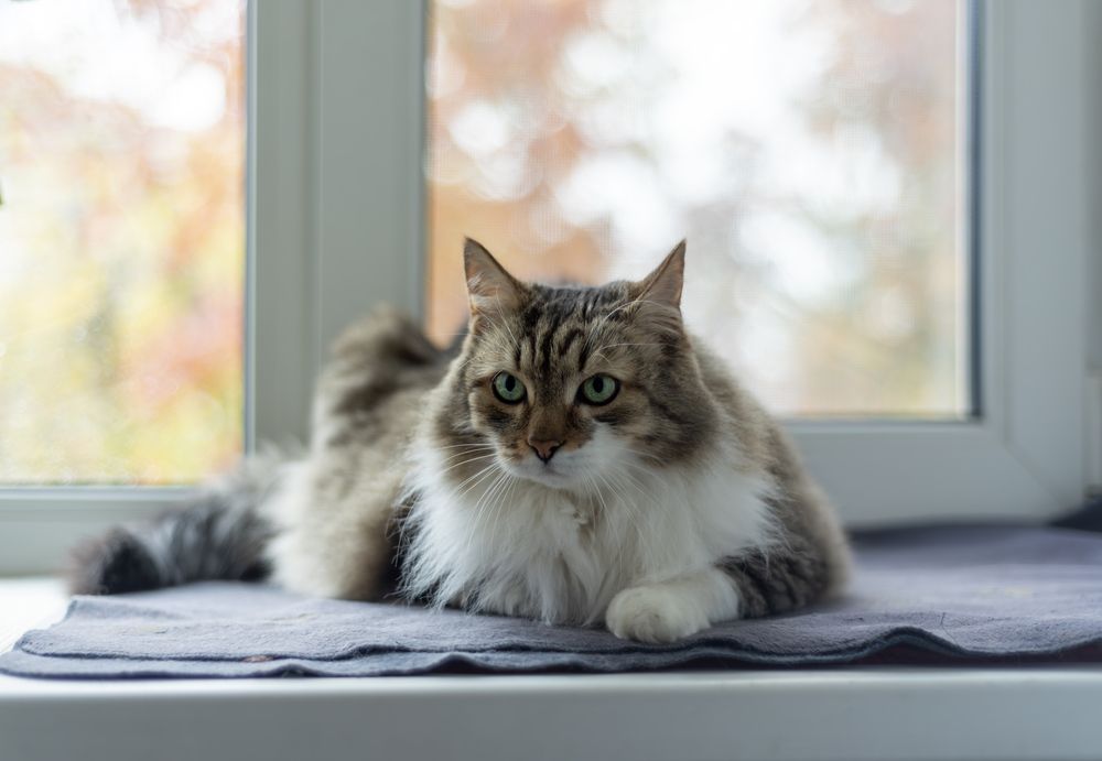 Photograph by Алёна