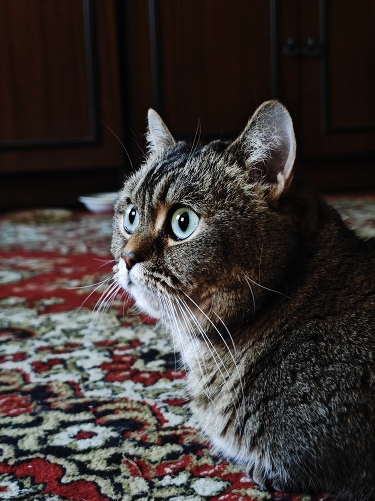 Photograph by Александра Шилова