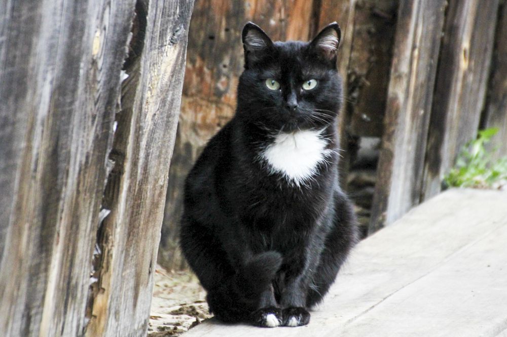 Photograph by Татьяна Атисс