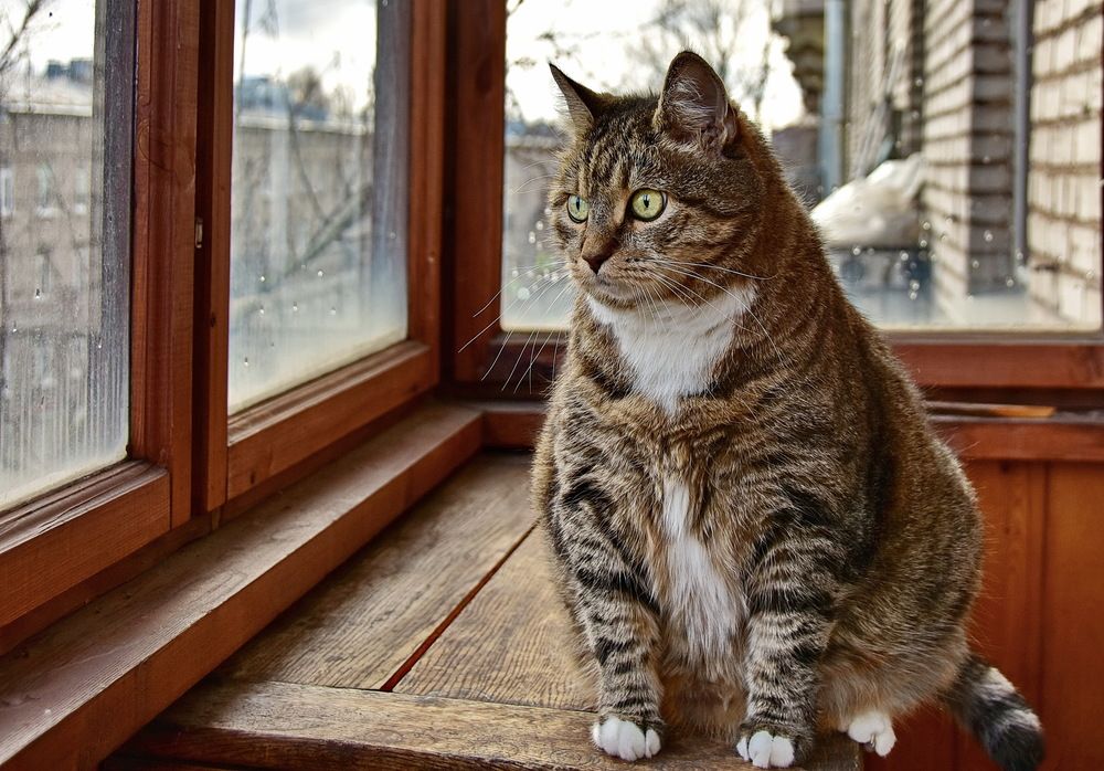 Photograph by Лидия Ушакова