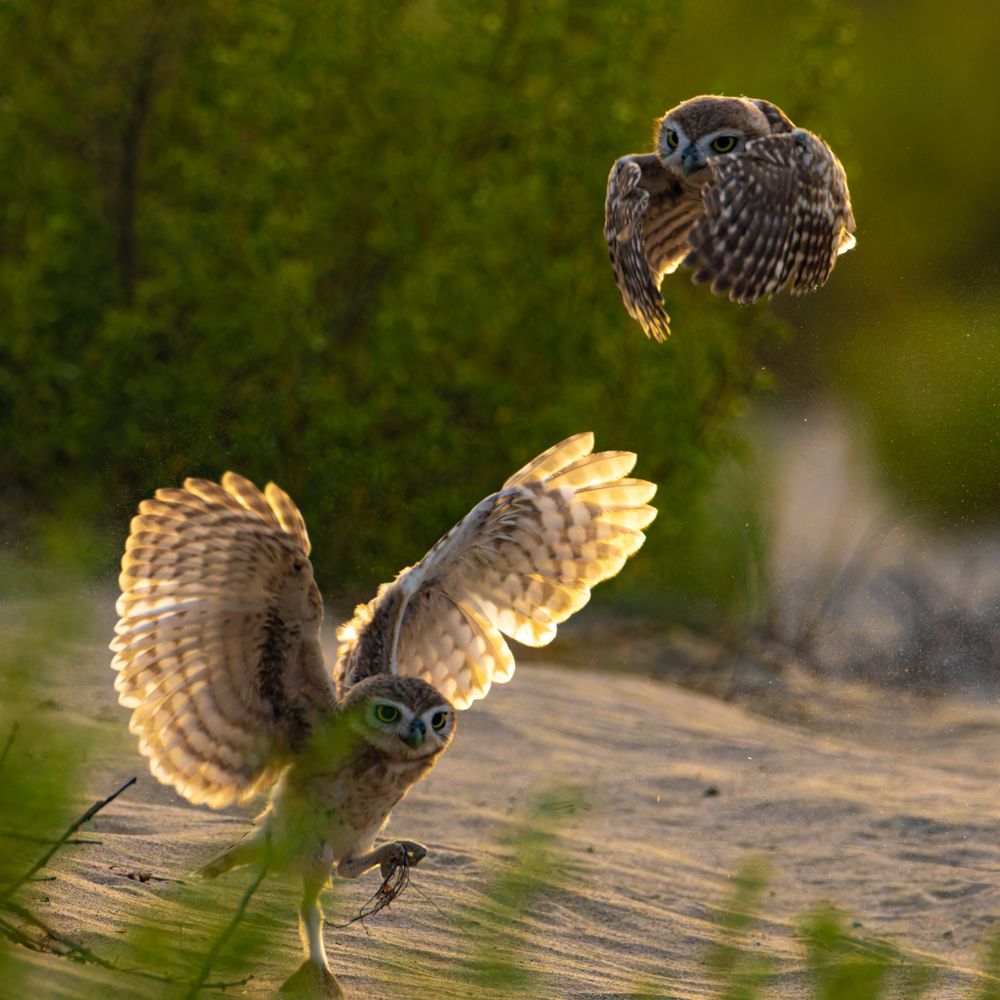 Photograph by Jayakrishnan