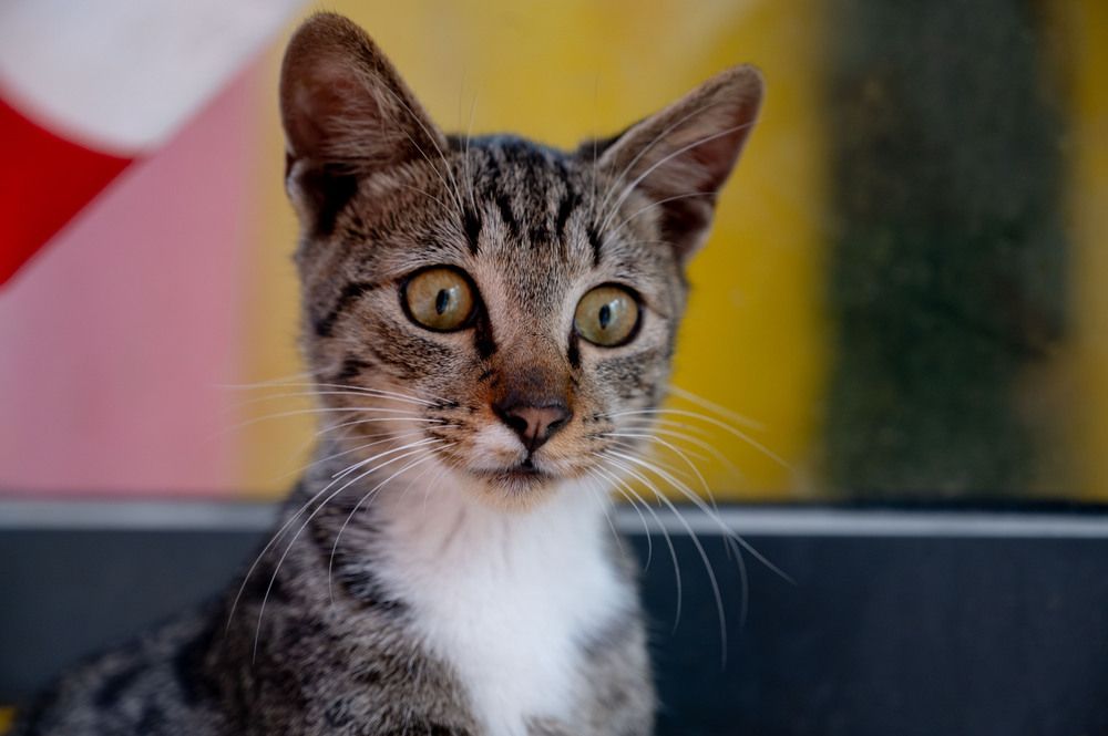 Photograph by Степаненко Марина