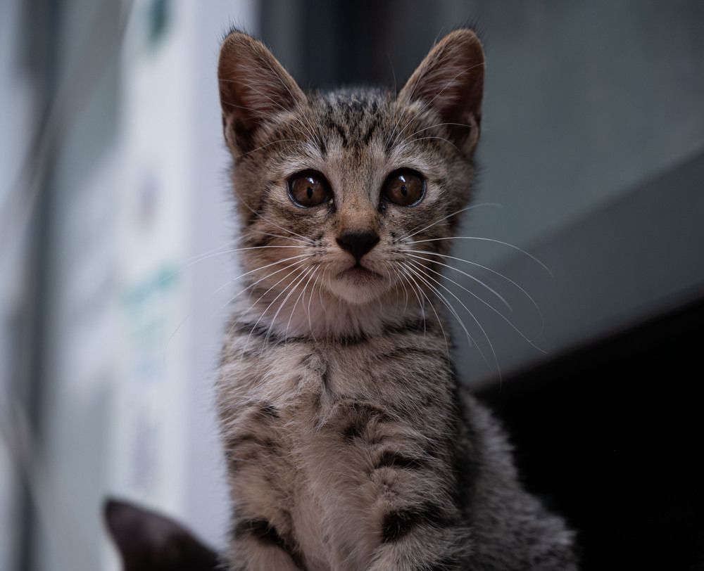 Photograph by Степаненко Марина