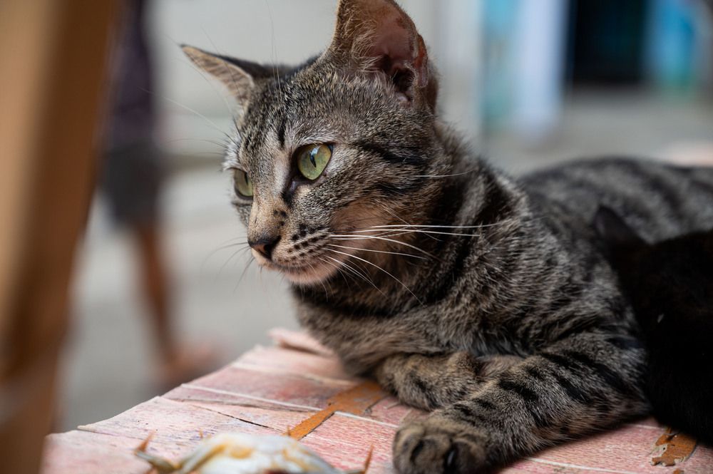 Photograph by Степаненко Марина