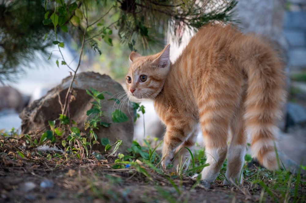 Photograph by Степаненко Марина