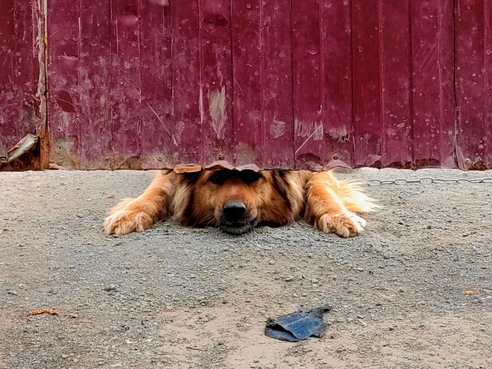 Photograph by Михаил Янкин