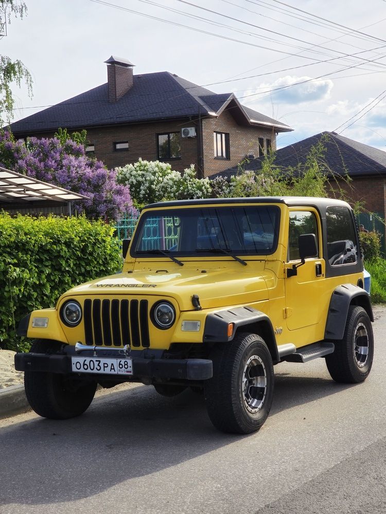 Photograph by Елена Ибрагимова