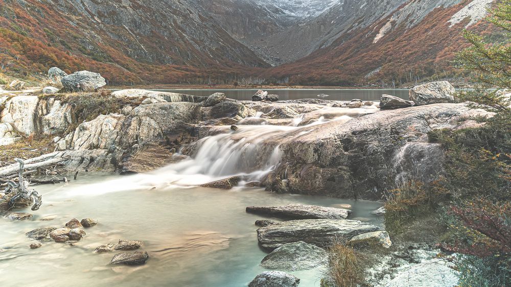 Фотография автора Rosas Gustavo Javier