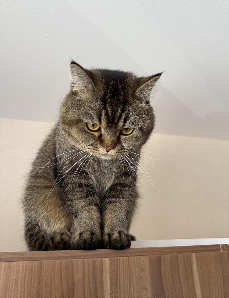 Photograph by Viktor Dikmann