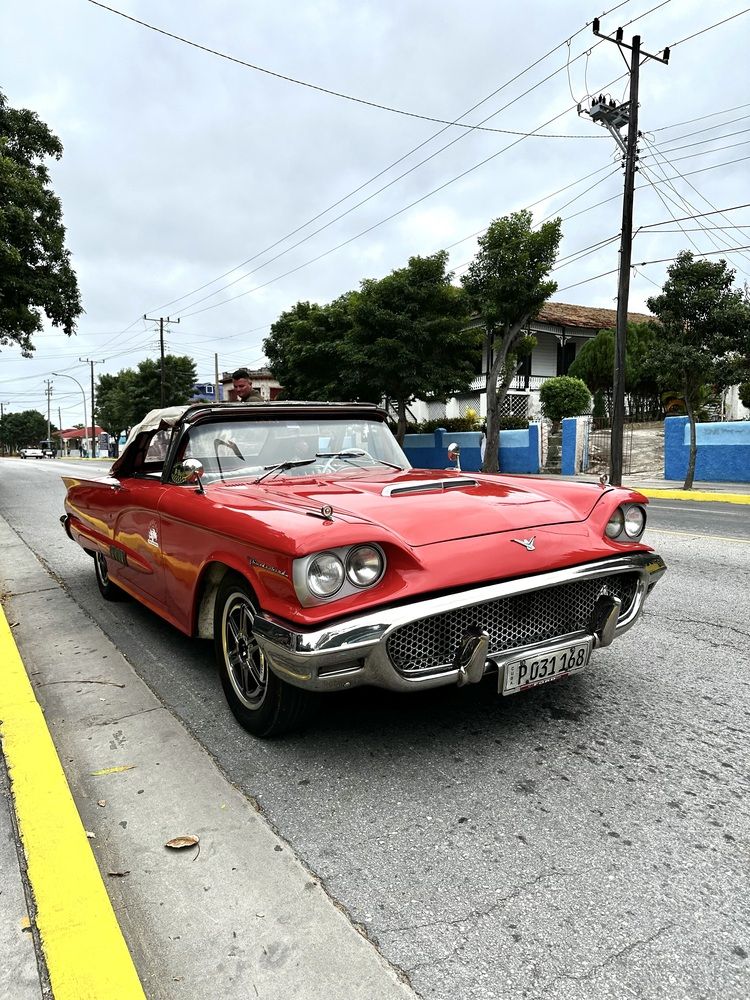 Photograph by Svetlana Rashidova