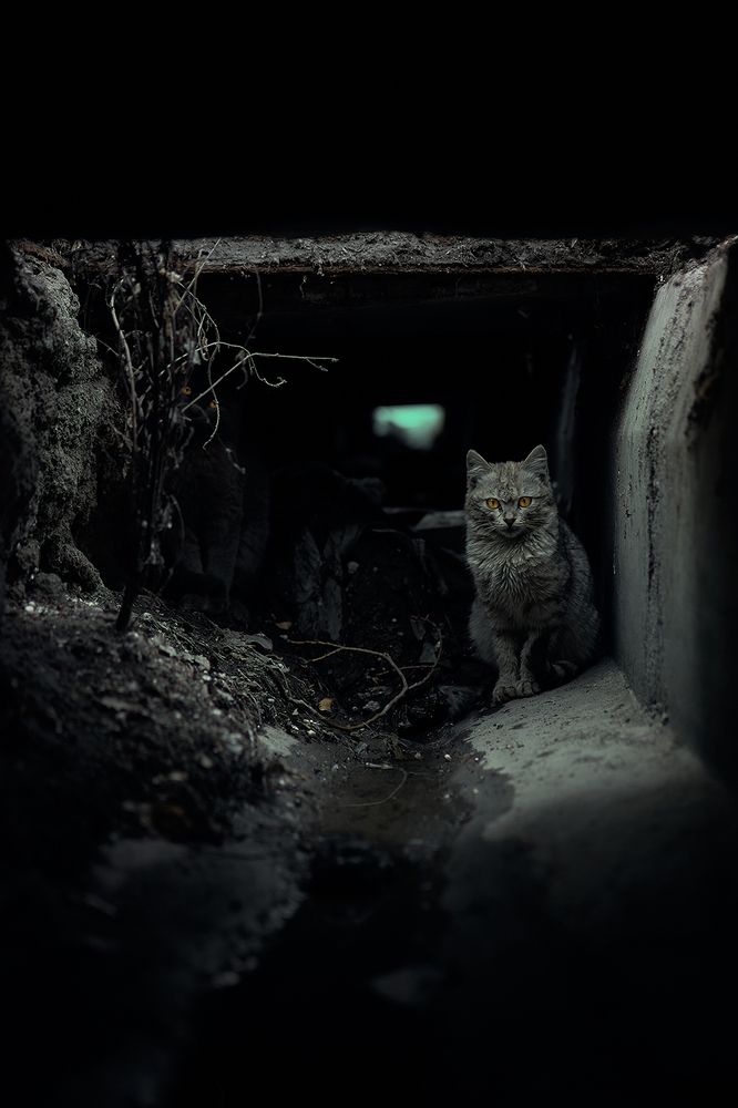 Photograph by Sina Babazadeh