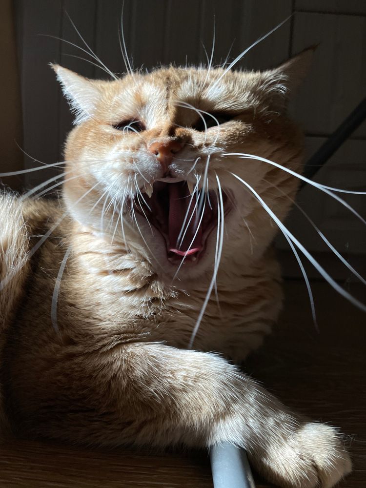 Photograph by Таня Ускова