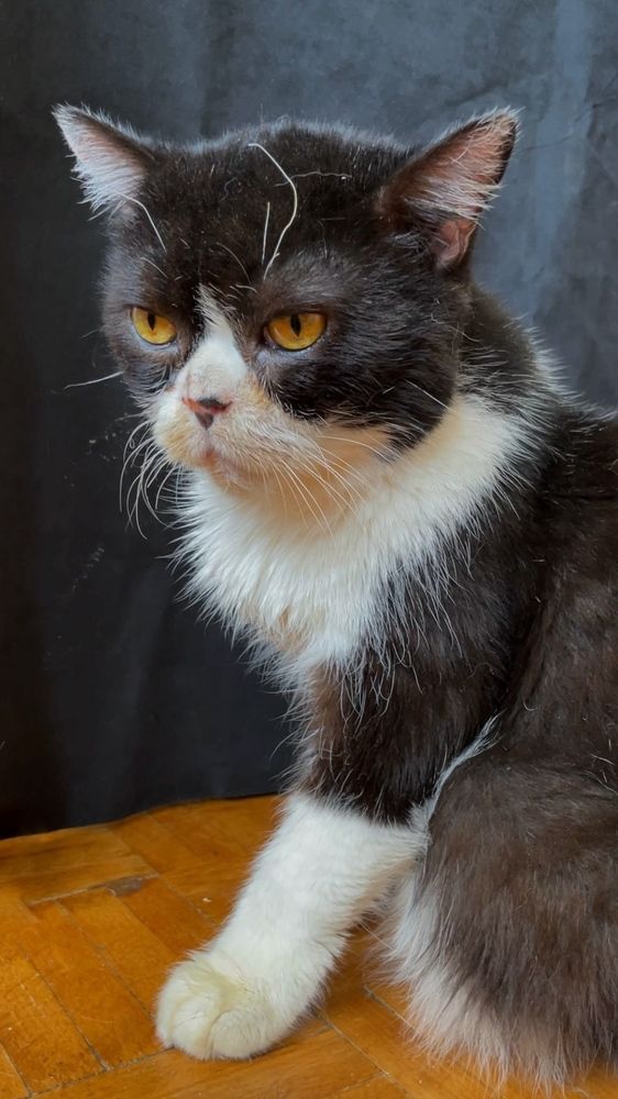 Photograph by Таня Ускова