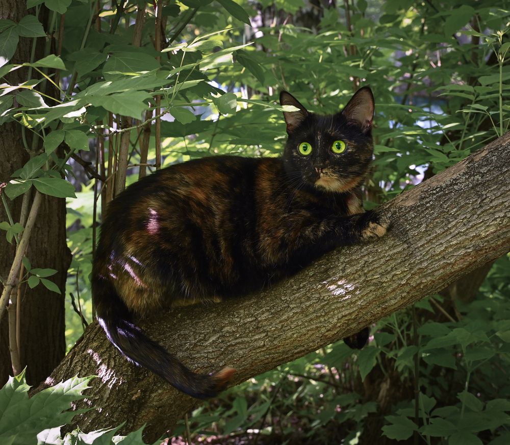 Photograph by Inna Ivanova