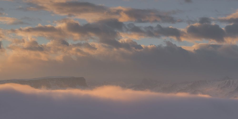 Бархат восхода