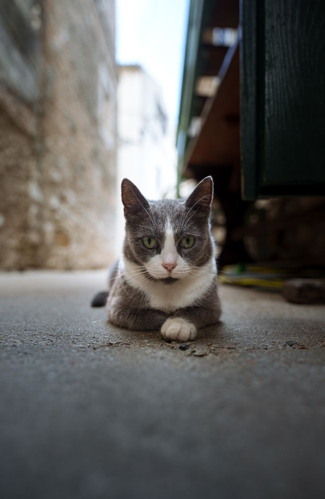 Photograph by Marko Župan