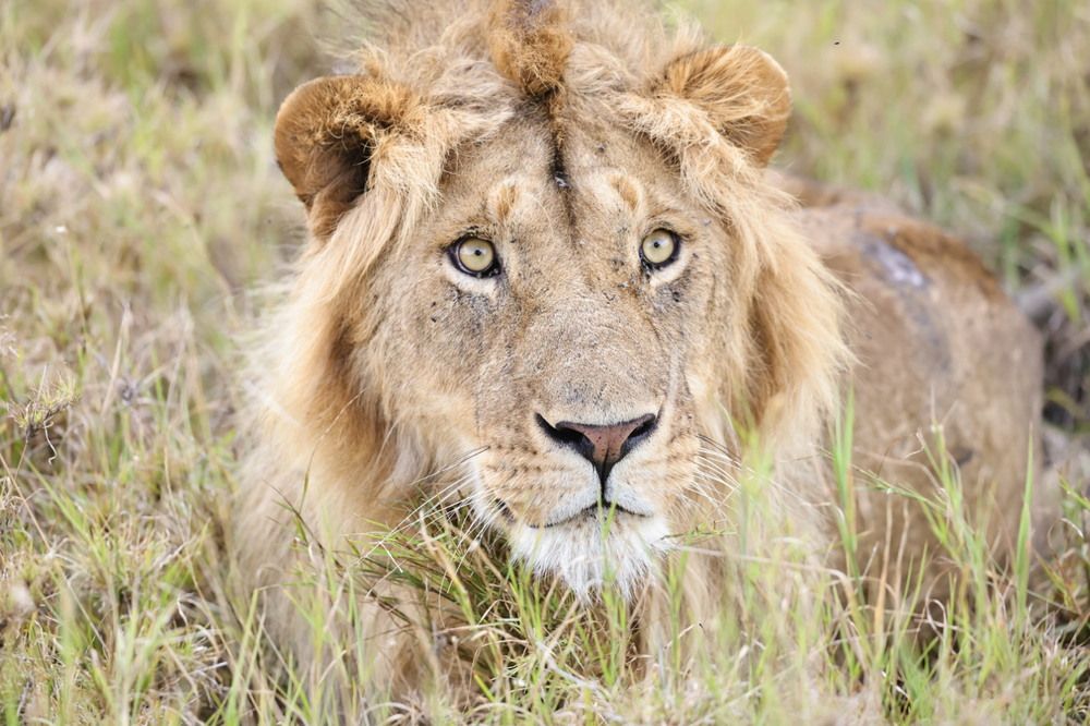 Photograph by Одаренко Ольга