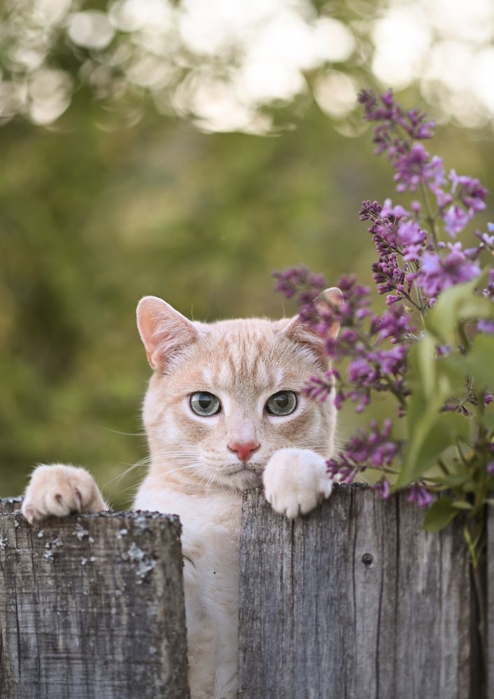 Photograph by Алина Клюкина