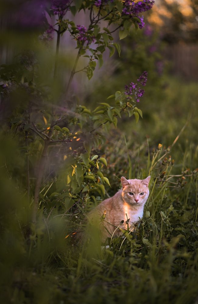 Photograph by Алина Клюкина