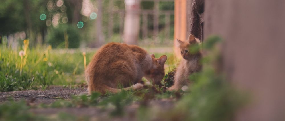 Photograph by Макс Полюхович