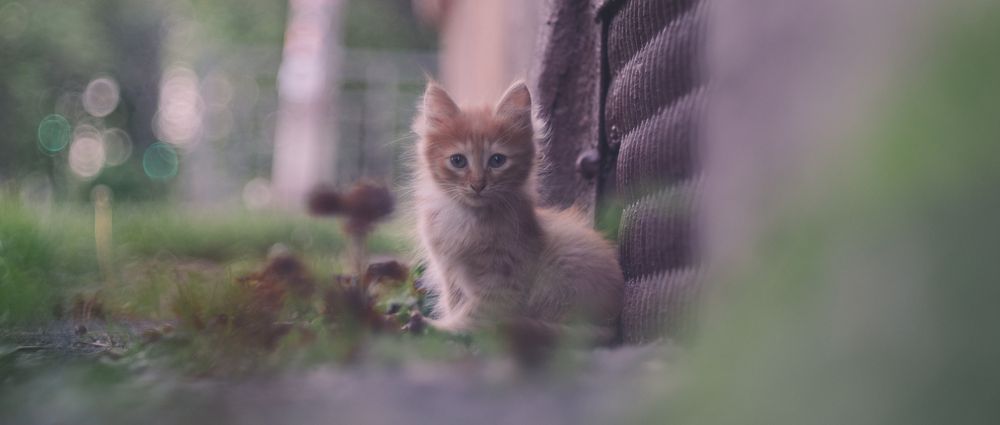 Photograph by Макс Полюхович