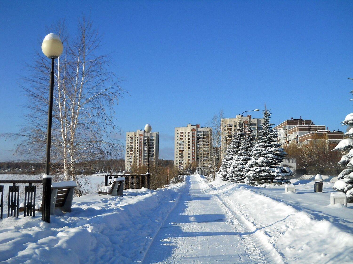 Photo #12219256