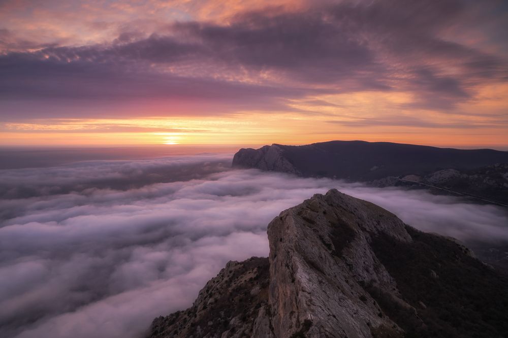 Фотография автора Дмитренко Екатерина