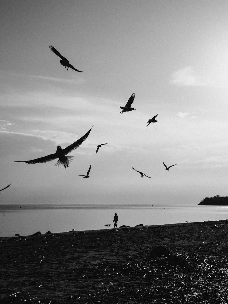 Photograph by Алиса Нежинская