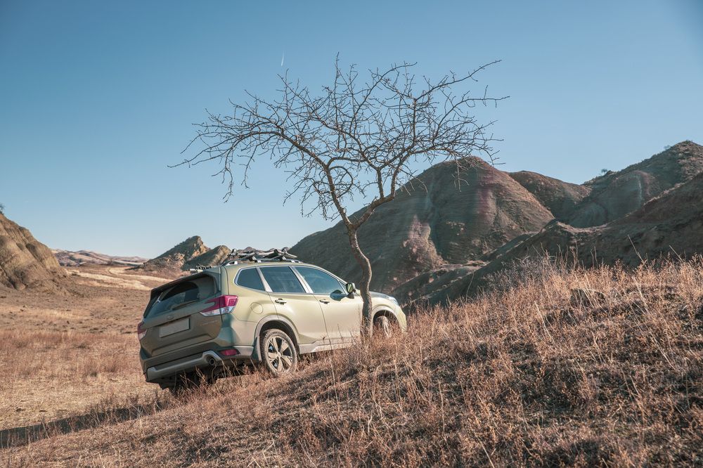 Photograph by Александр Парфенов