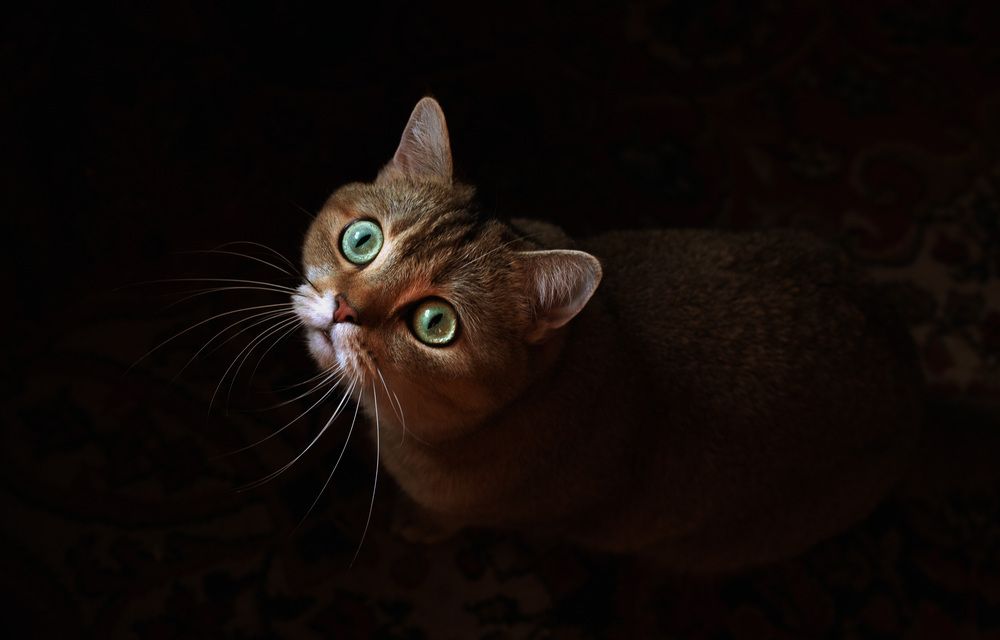 Photograph by Вадим Зазулин