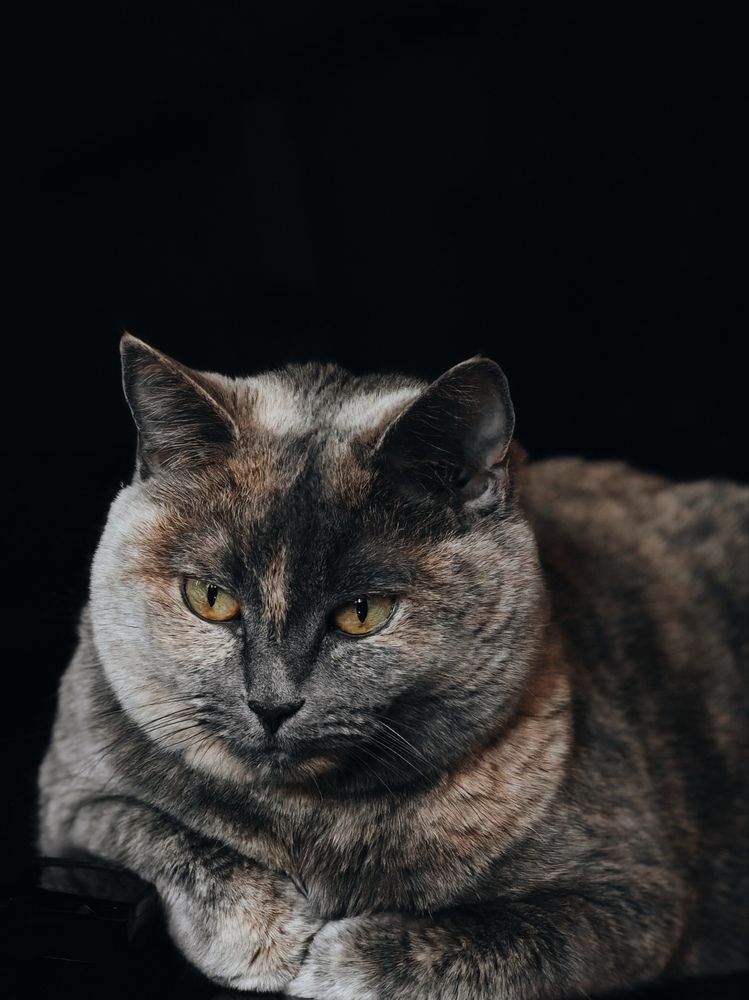 Photograph by Наталья Иванова