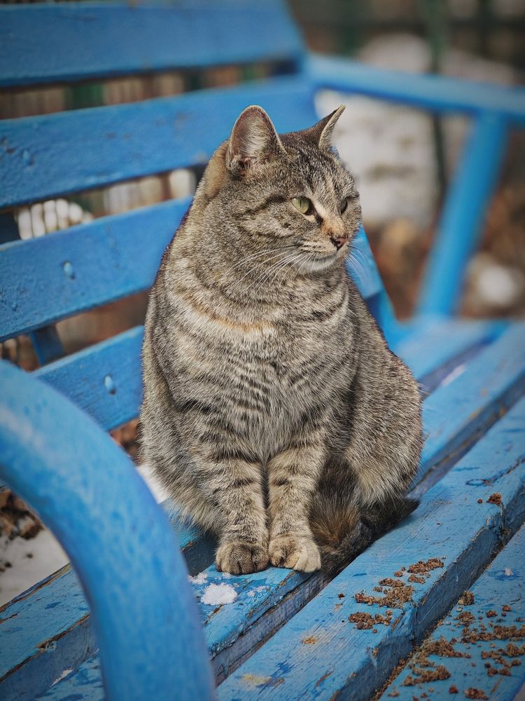 Photograph by Наталья Иванова