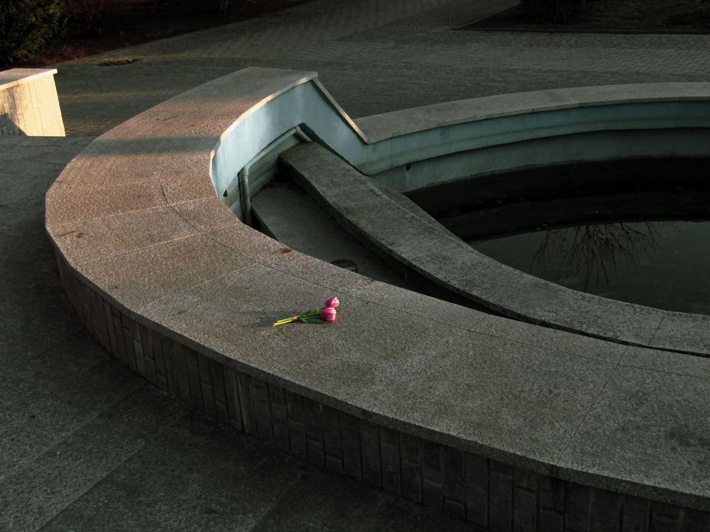 Photo #12219396