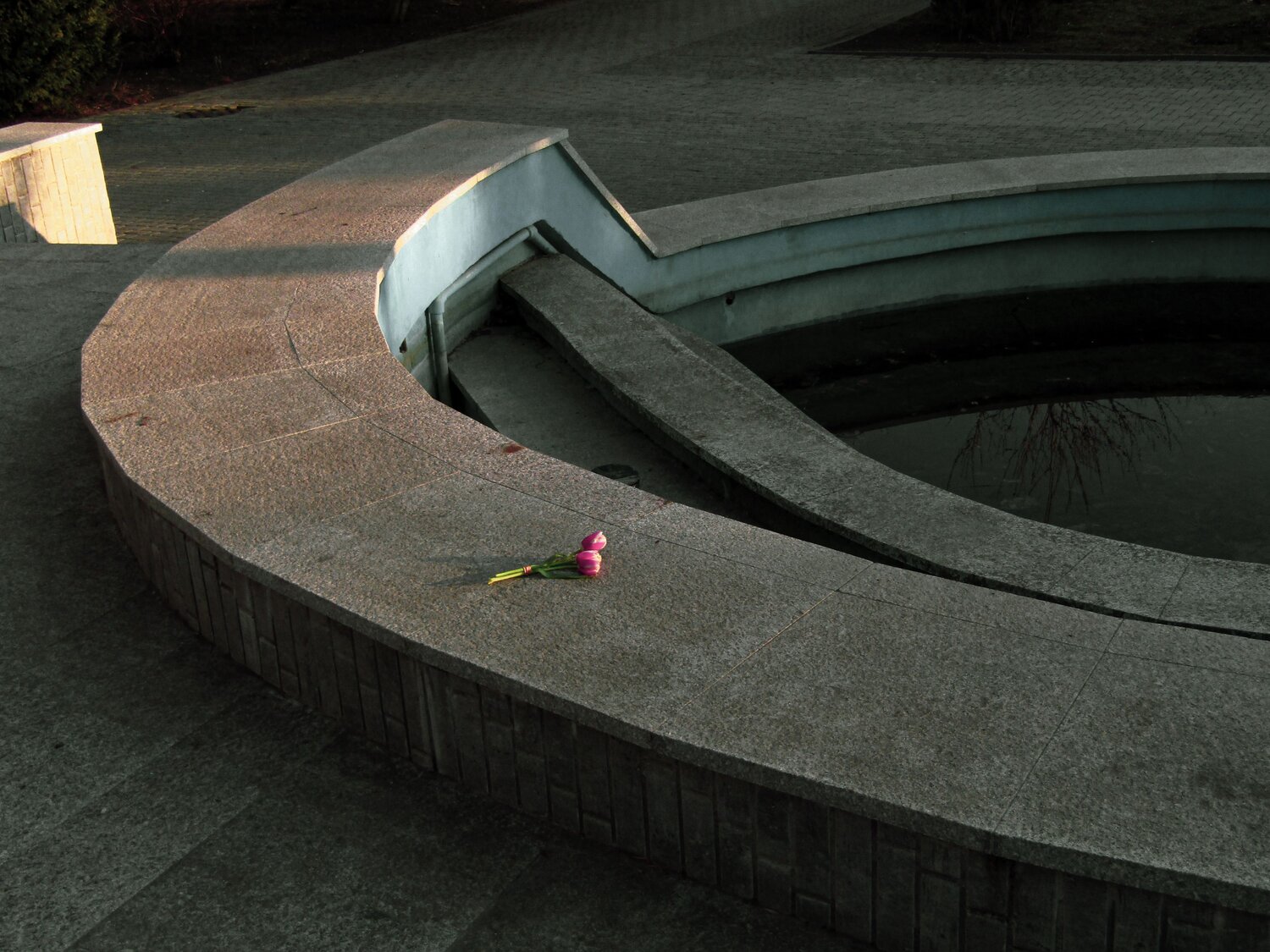 Photo #12219396