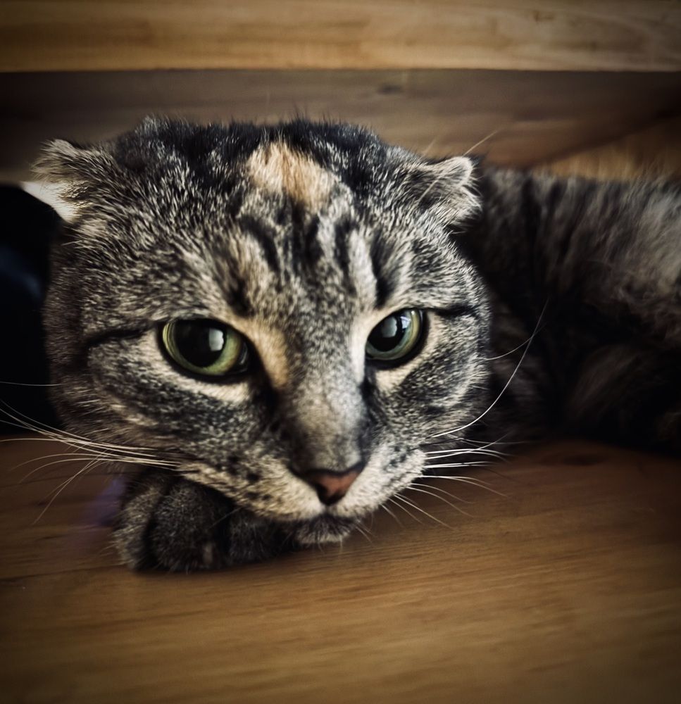 Photograph by Юлия Чернышёва