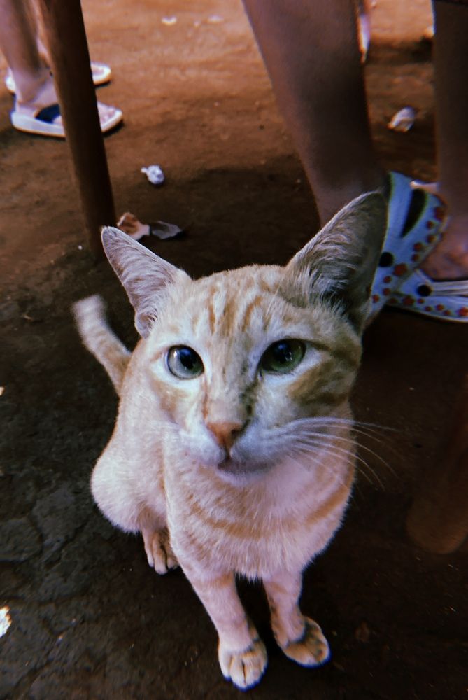 Photograph by Abhimun Goel