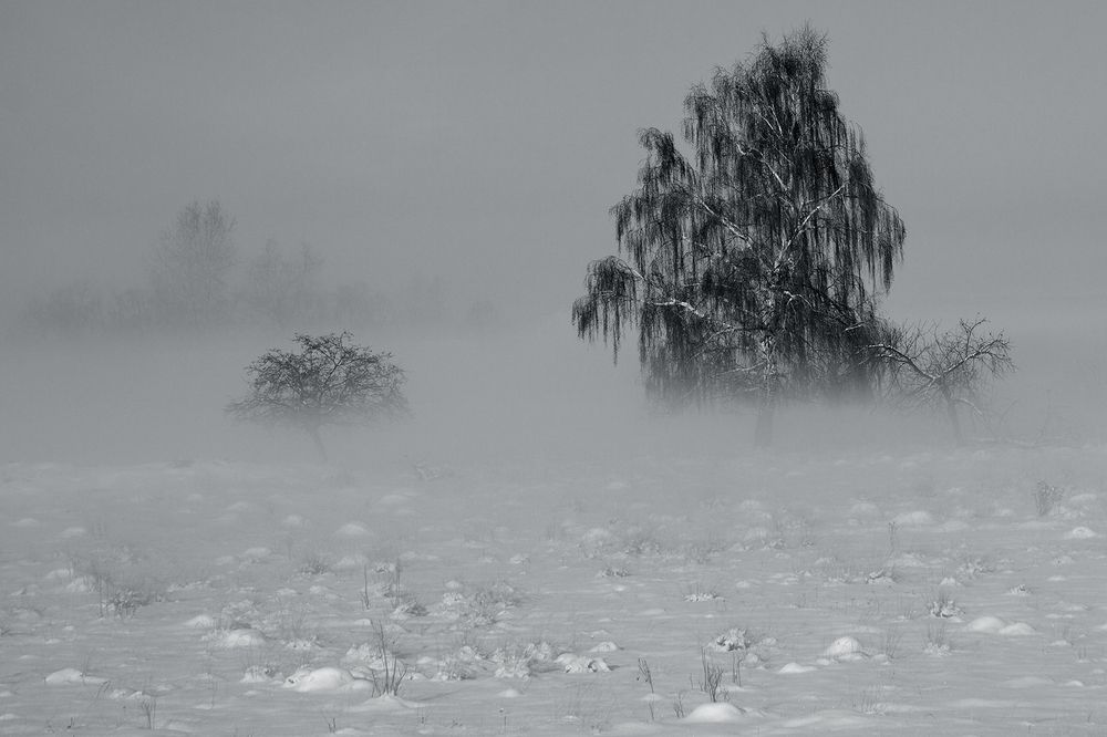 Photograph by Олег Тетерин