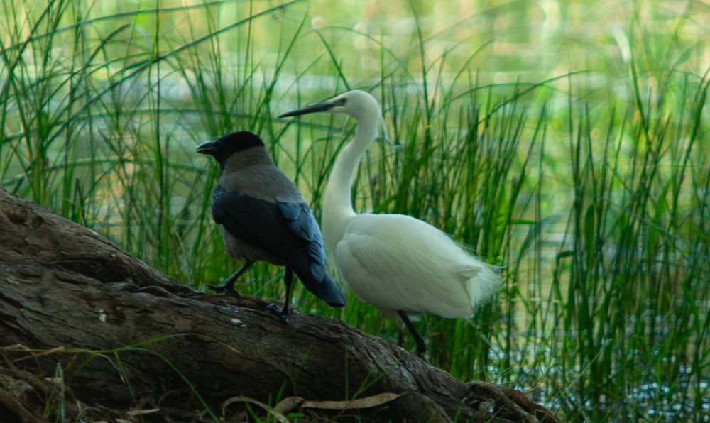 Photograph by Трегубов Лада