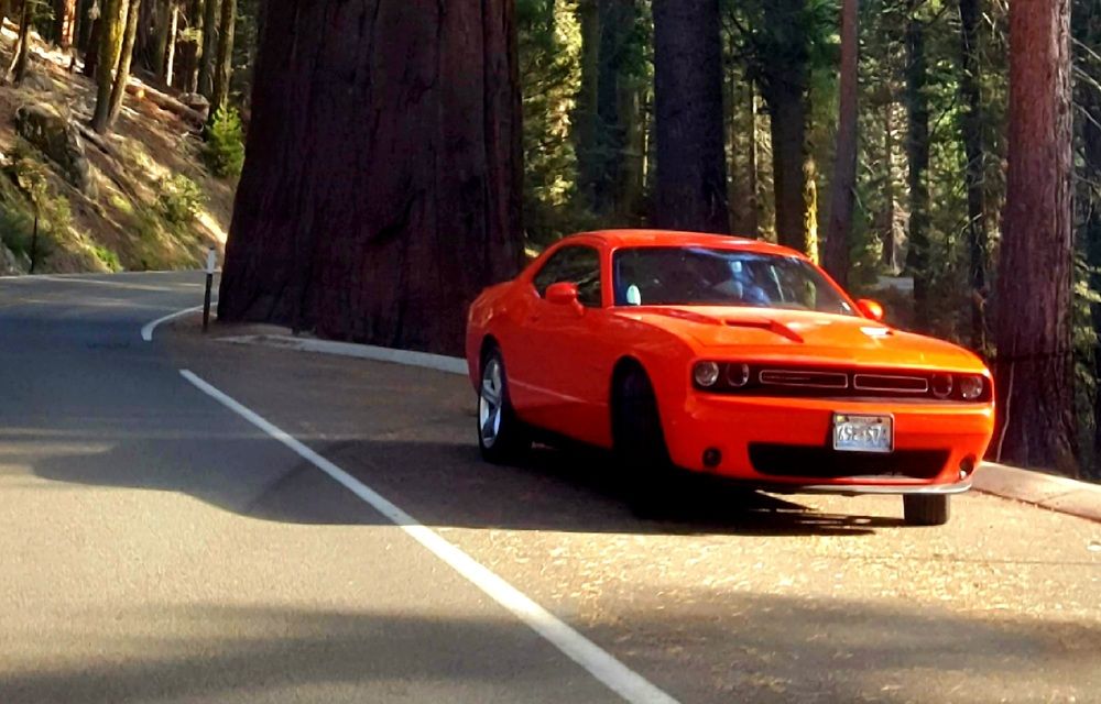 Photograph by claudia