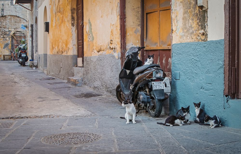 Photograph by Татьяна Горбачева Маментьева