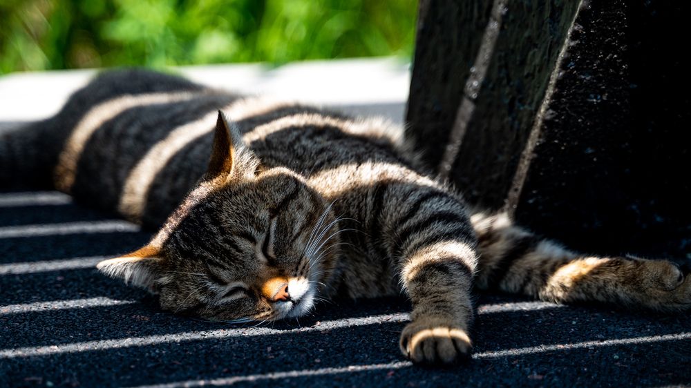 Photograph by Игорь Матвеев