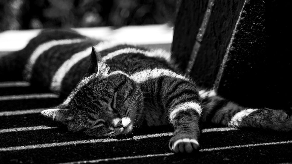 Photograph by Игорь Матвеев