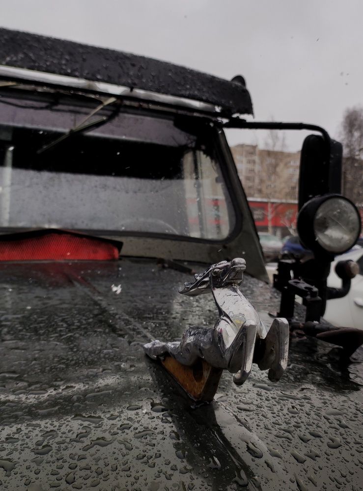 Photograph by Калюнова Наталья