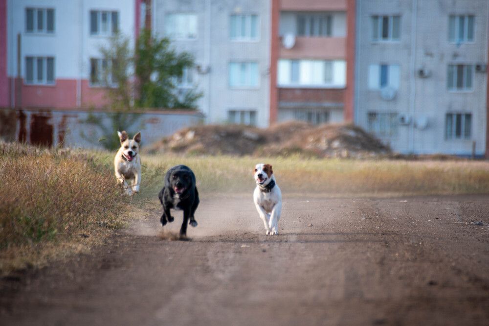 Фотография автора  Мария