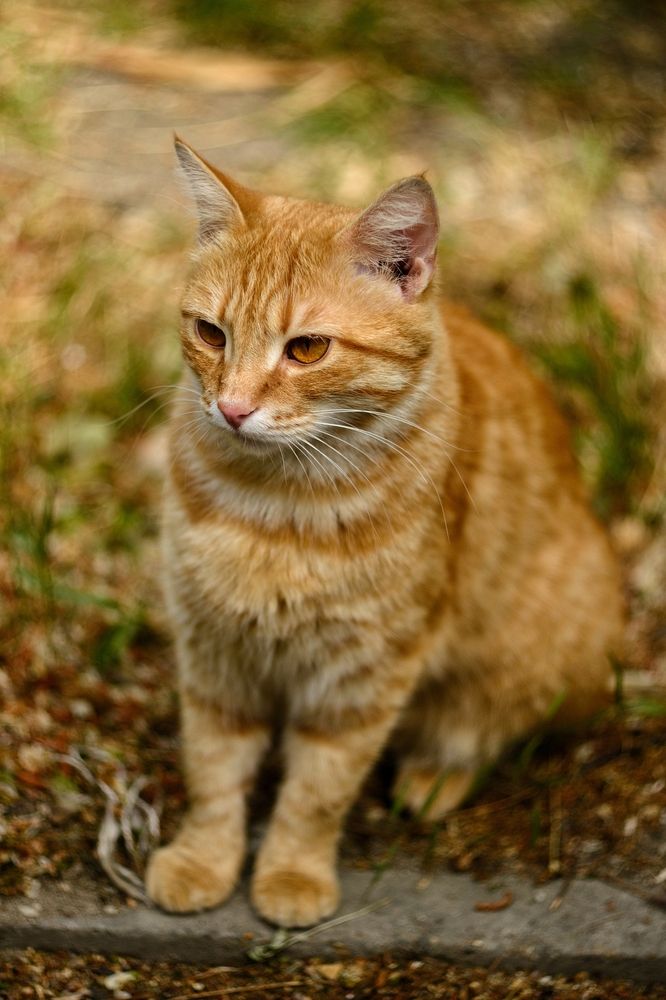 Photograph by Magic Helios