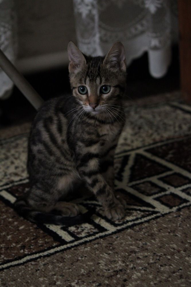 Photograph by Наталия Манакова