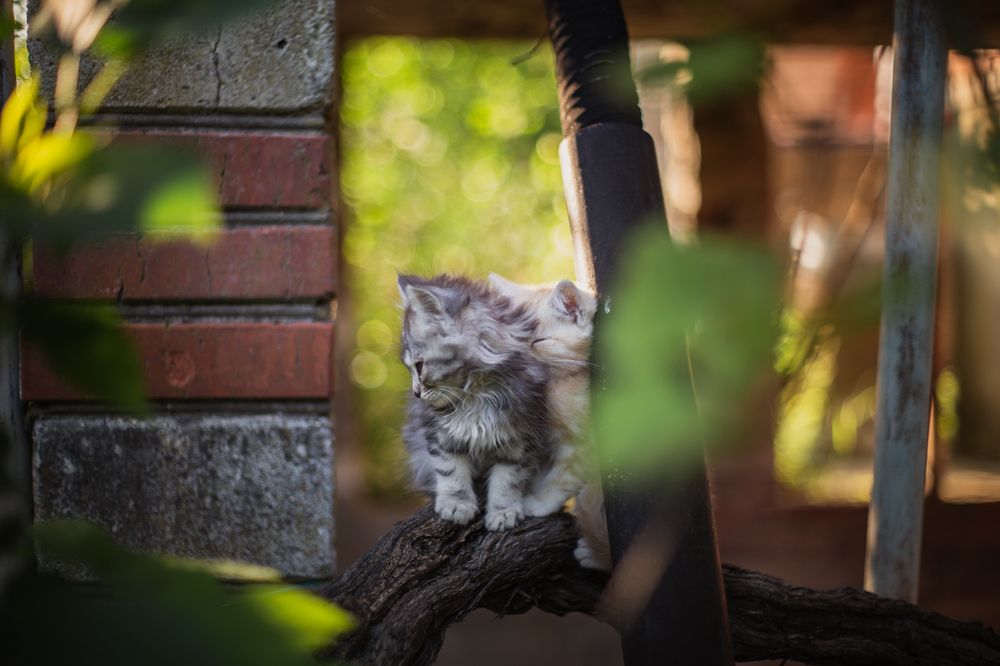 Photograph by Филипп Бабенко