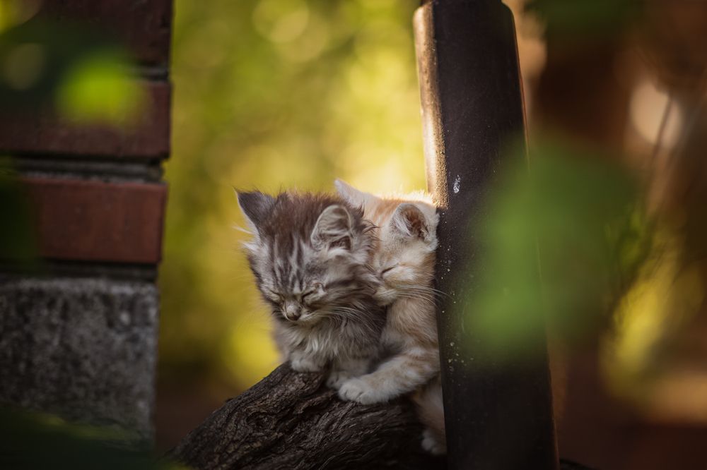 Photograph by Филипп Бабенко