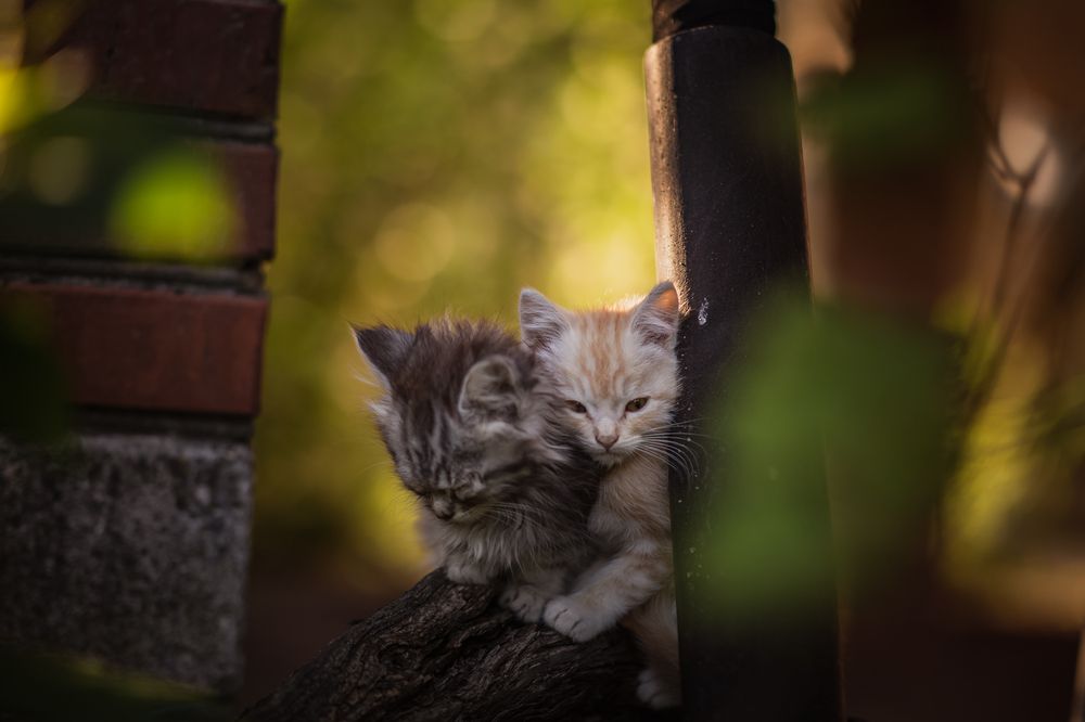 Photograph by Филипп Бабенко